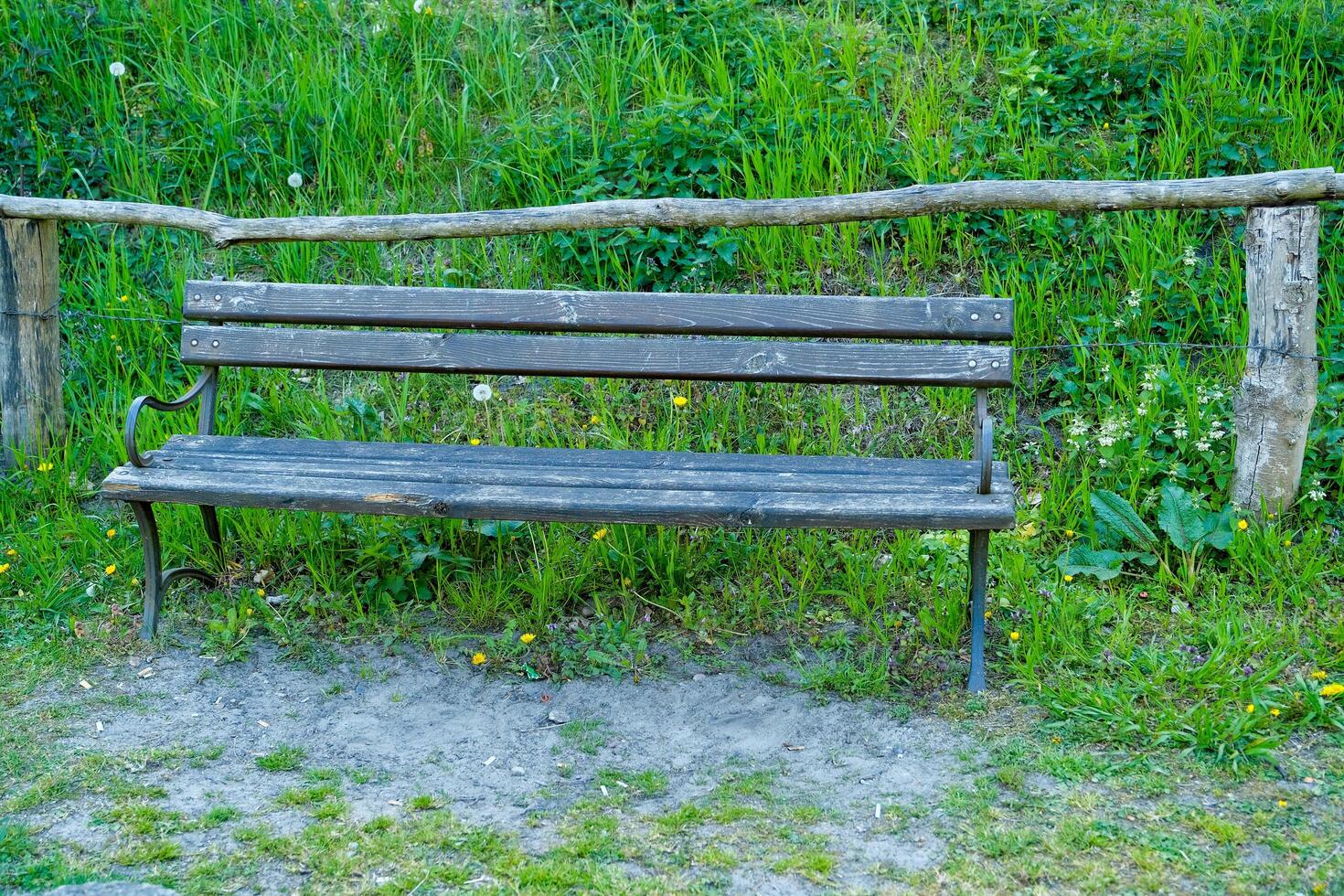 Bench in the summer park with old trees and footpath photo