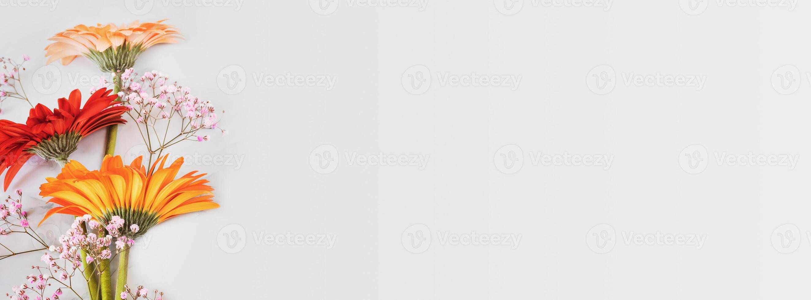 Holiday banner with bouquet of gerberas and gypsophila photo