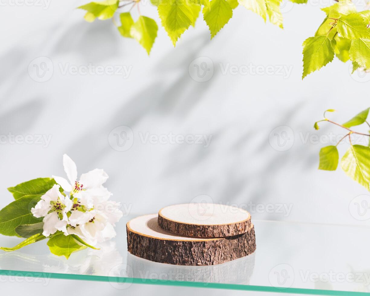 Wooden empty podium with apple branches blossom photo