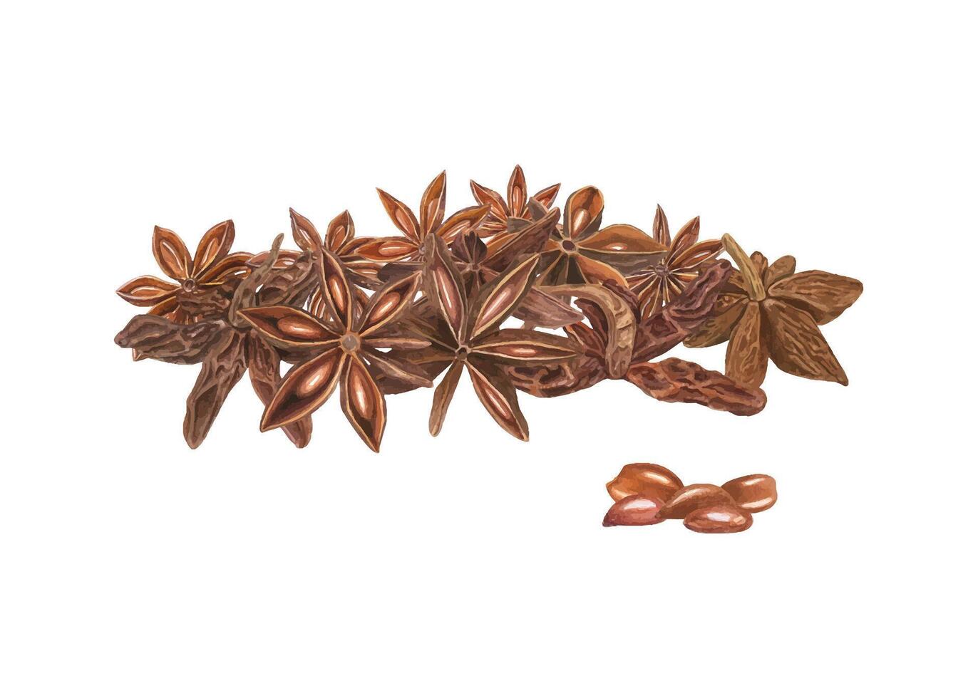 Dried Star Anise heap. Flavor seeds. Aromatic spice pile. Fragrant textured badian for medicine, food, Xmas drink. Watercolor illustration. Ingredient for decor, cooking winter recipe vector