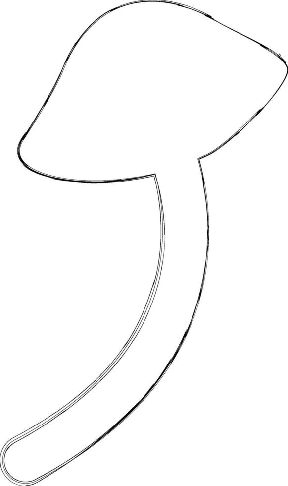 Mushroom drawing in autumn in the forest decoration. vector