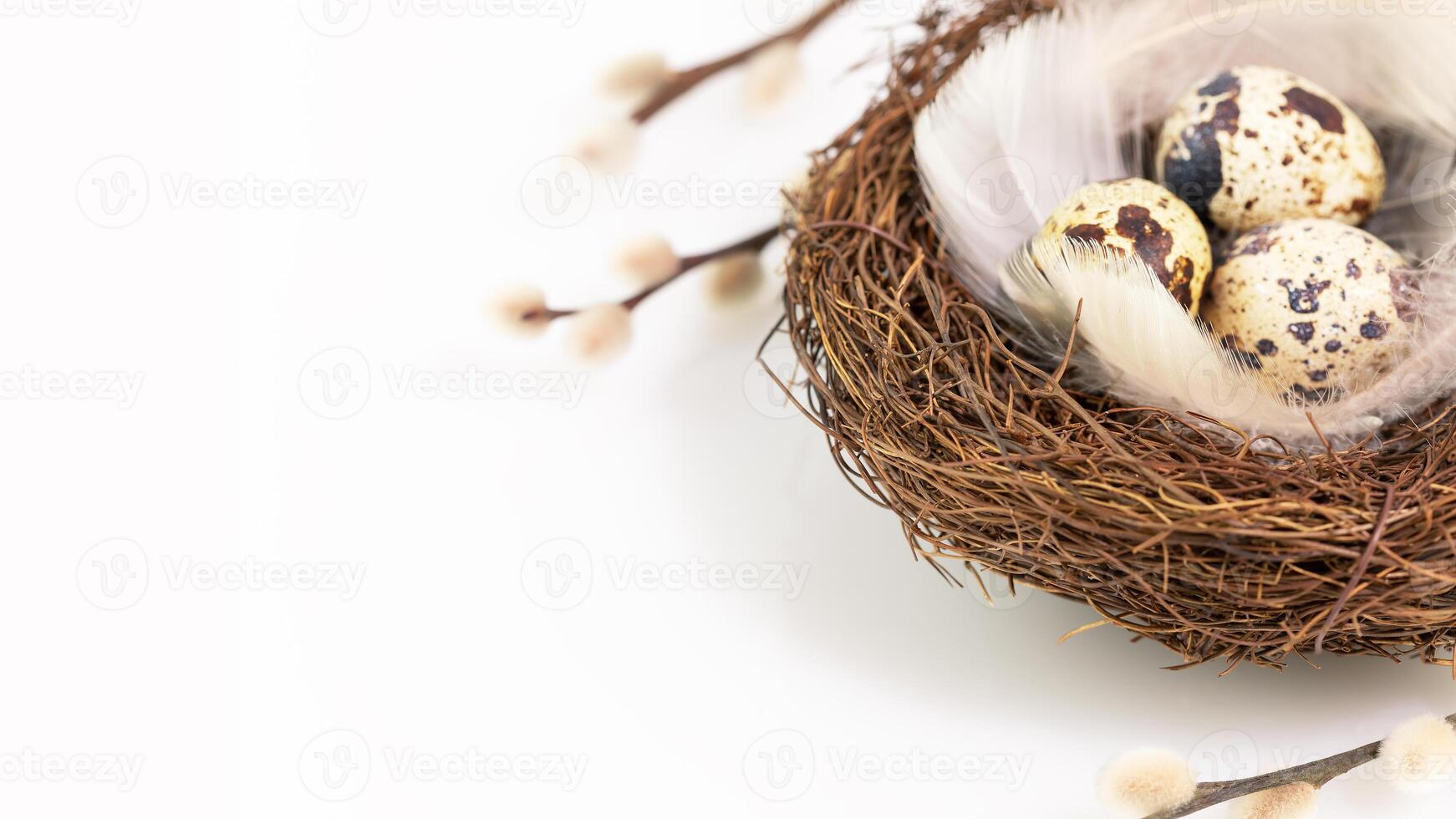 Eggs and feathers in a nest on a white background with willow twigs photo