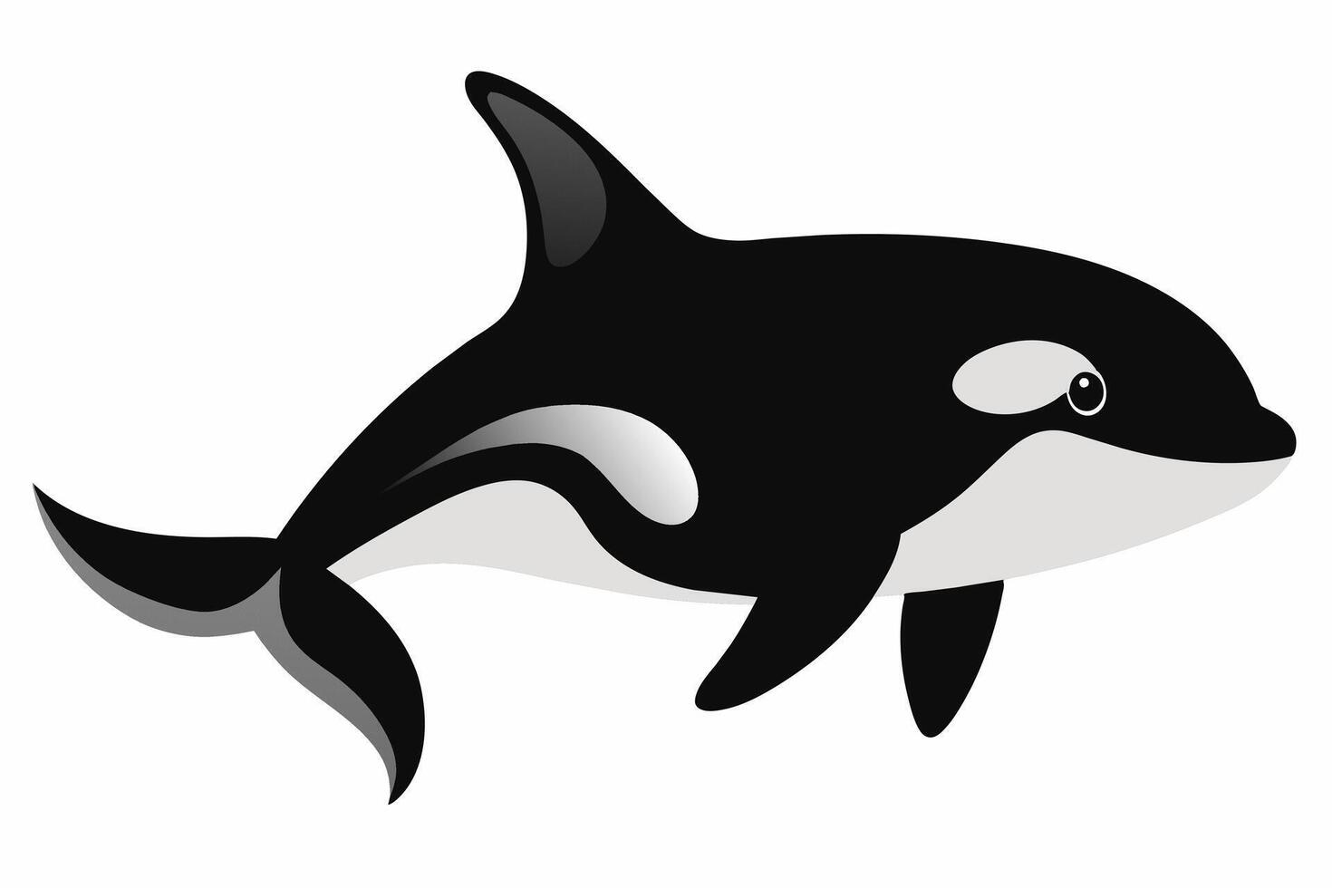 Black and white killer whale isolated on a white background. Concept of ocean creature illustration, minimalist style, marine life, orca whale. Print, icon, logo, template, digital art. vector