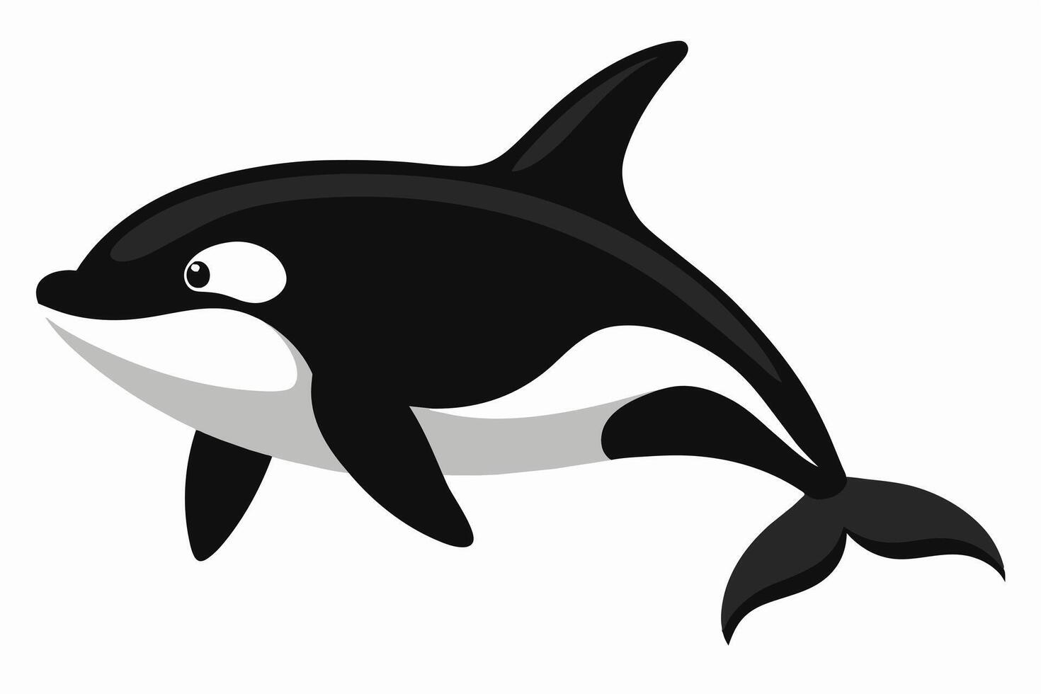 Black and white killer whale isolated on a white background. Concept of ocean creature illustration, minimalist style, marine life, orca whale. Print, icon, logo, template, digital art. vector