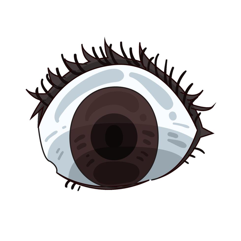 Illustration of human eye vector