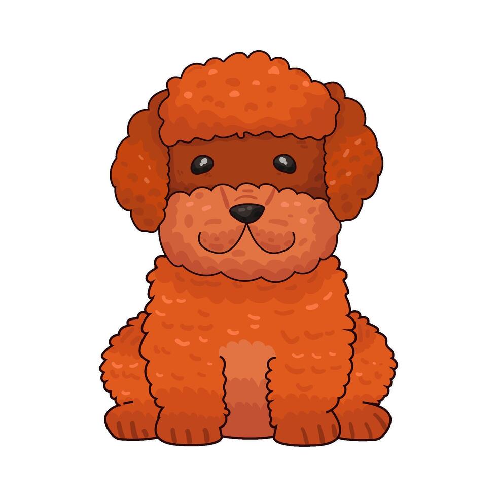 Illustration of poodle dog vector