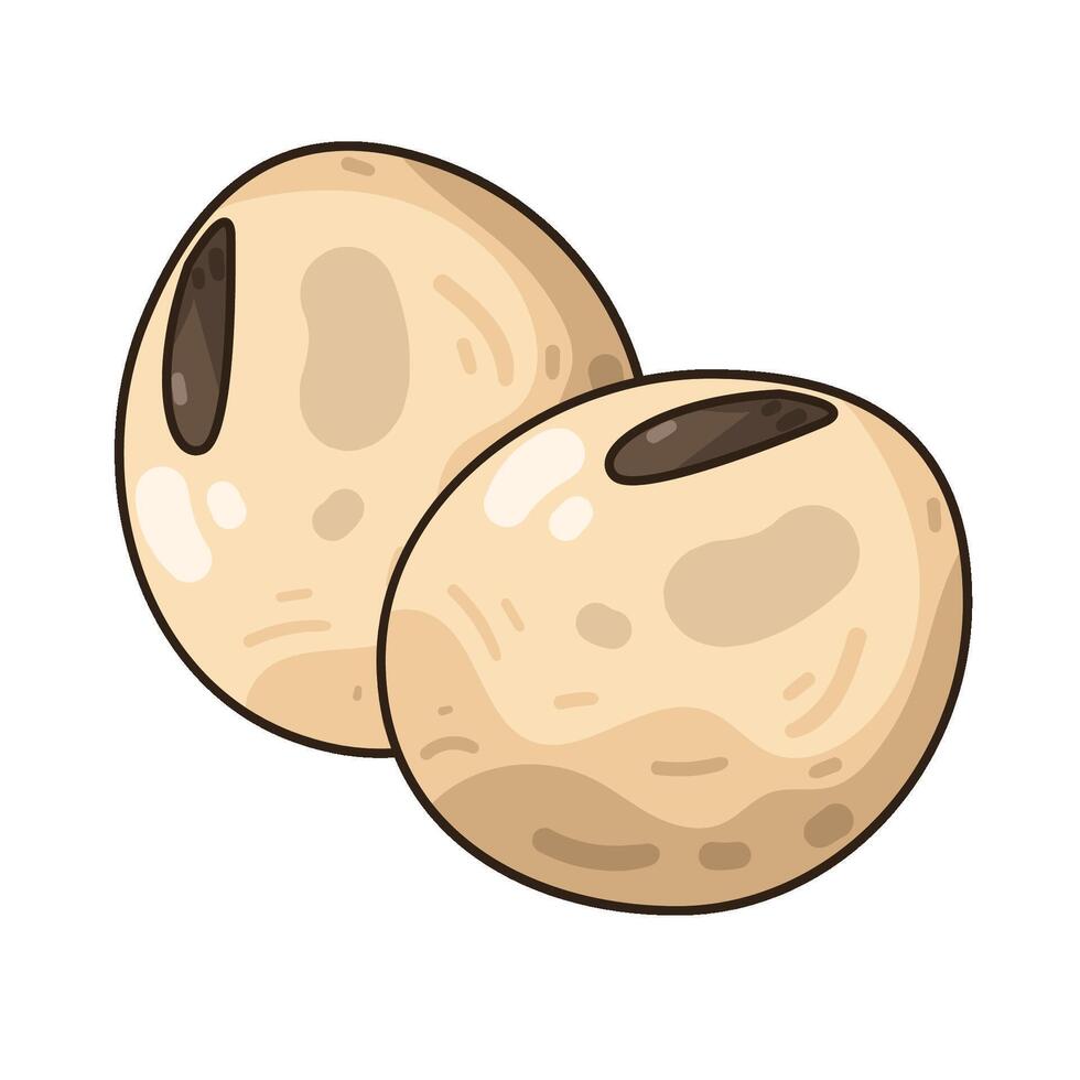 Illustration of soybean vector