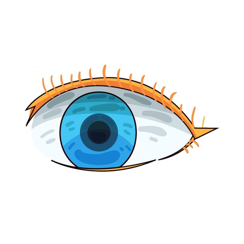 Illustration of eye vector
