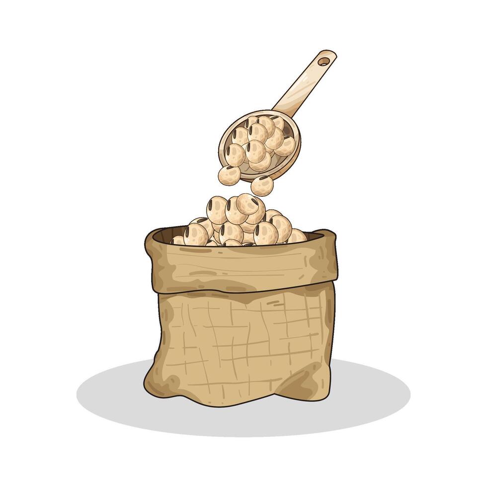 Illustration of soybean vector