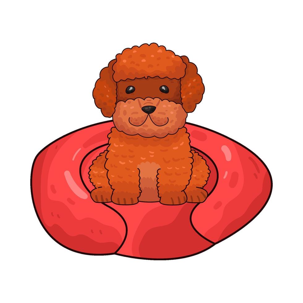Illustration of poodle dog vector