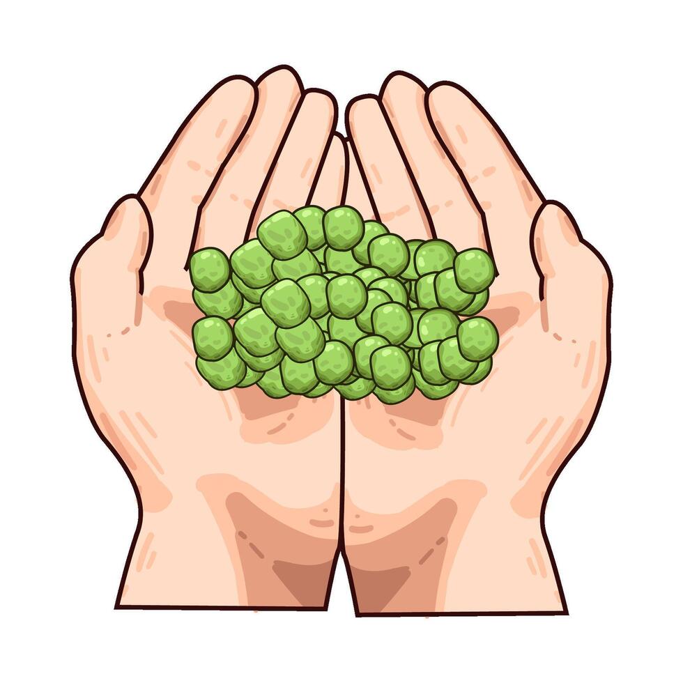 Illustration of peas vector