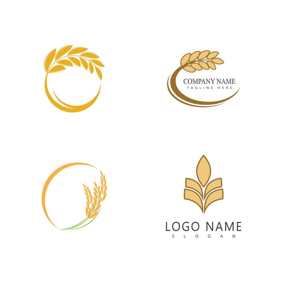 Agriculture wheat logo template and symbol vector