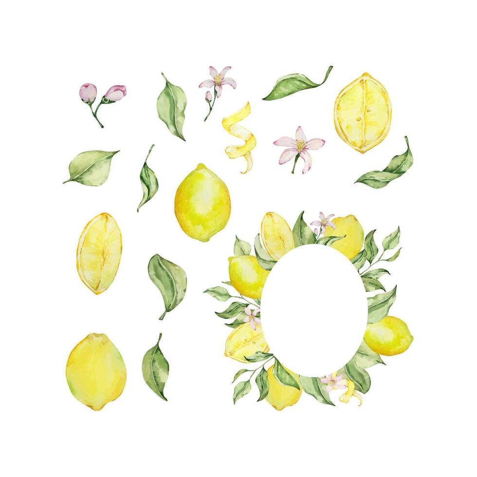 Watercolor lemon frame set with fruit, slice, leaves and flowers vector