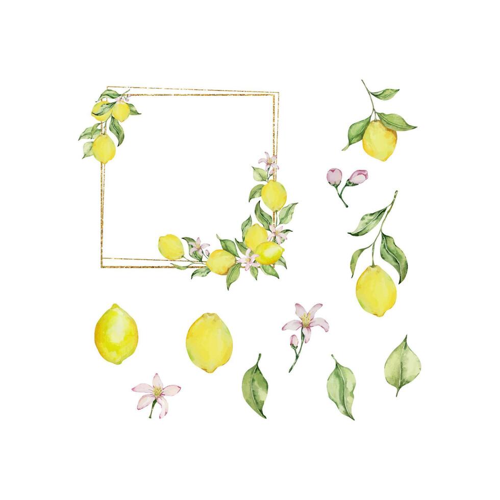 Gold frame with watercolor lemon, leaves and flowers vector
