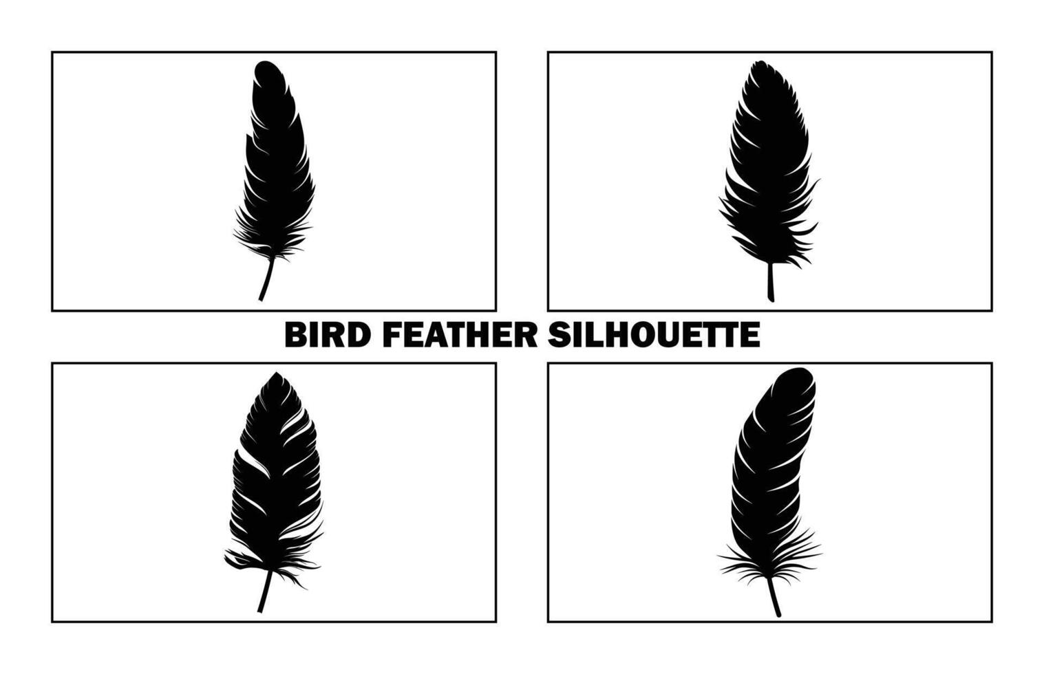 Cute Bird Feather Silhouette Illustration, Bird Feather icon, Black silhouette of a bird feather on a white background, Different types of bird feather. vector