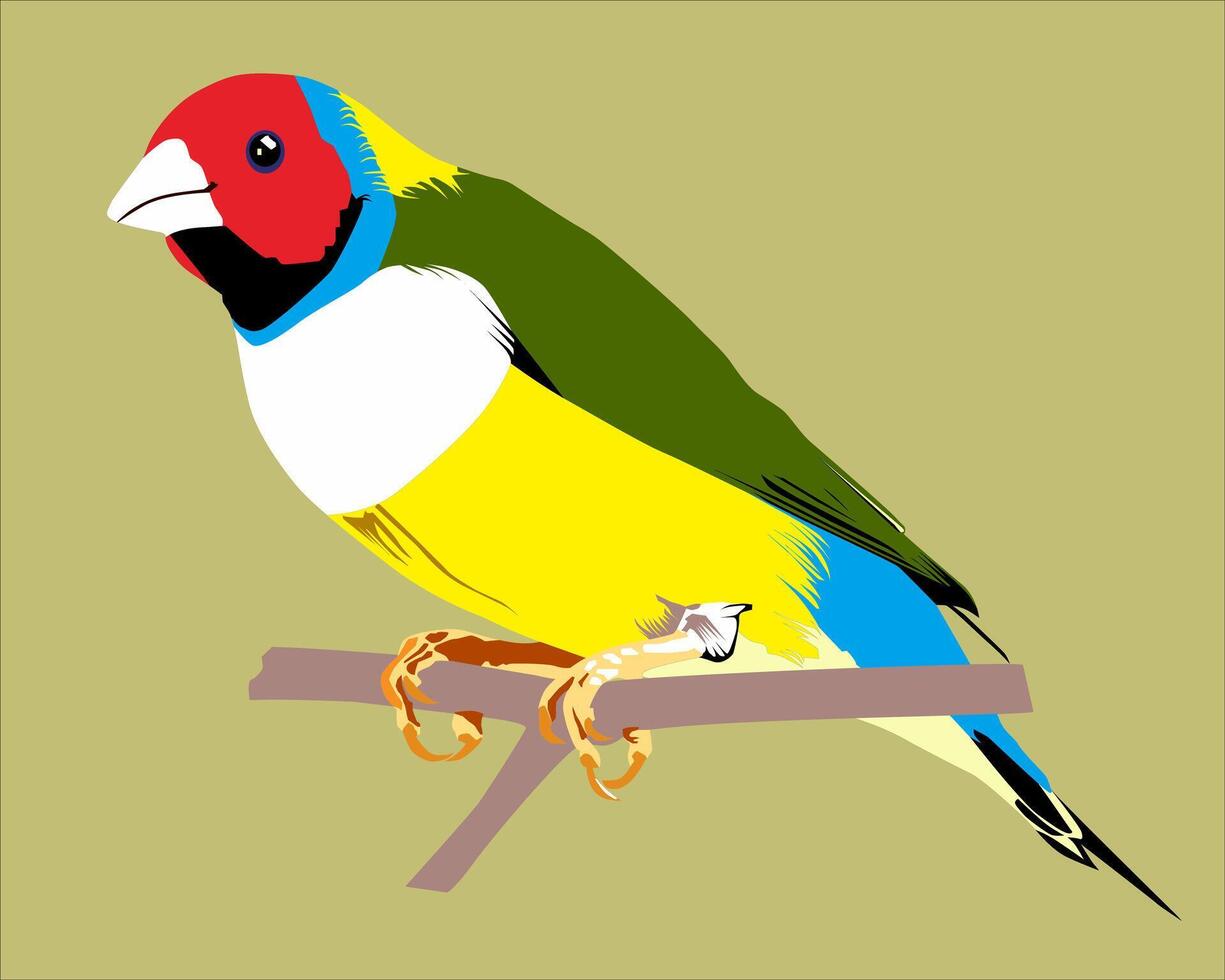 Illustration of a Gouldian finch bird above a cut tree branch vector