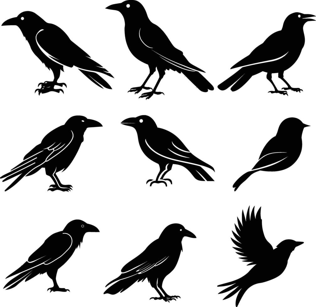 flying bird silhouette , graceful wings, minimalist design vector