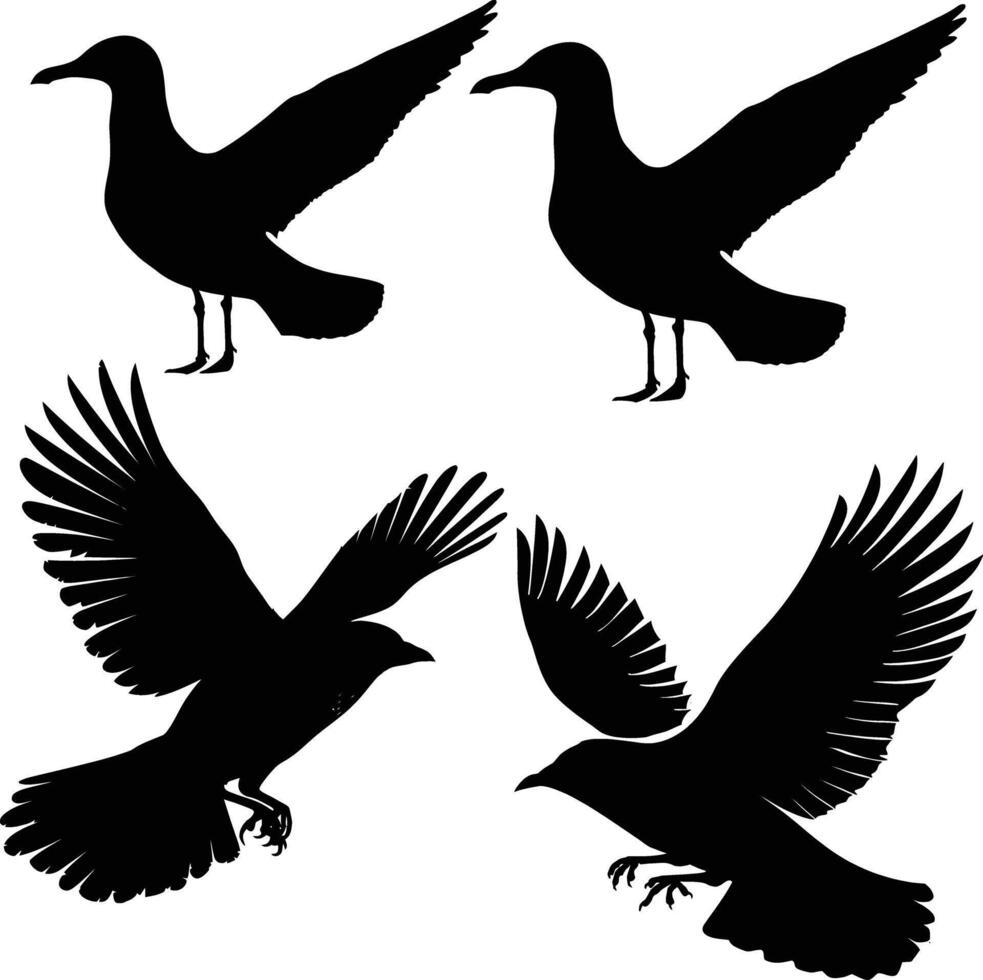 flying bird silhouette , graceful wings, minimalist design vector