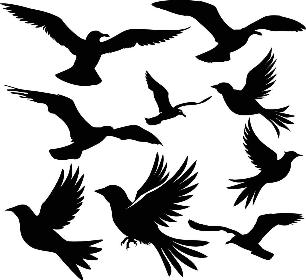 flying bird silhouette , graceful wings, minimalist design vector