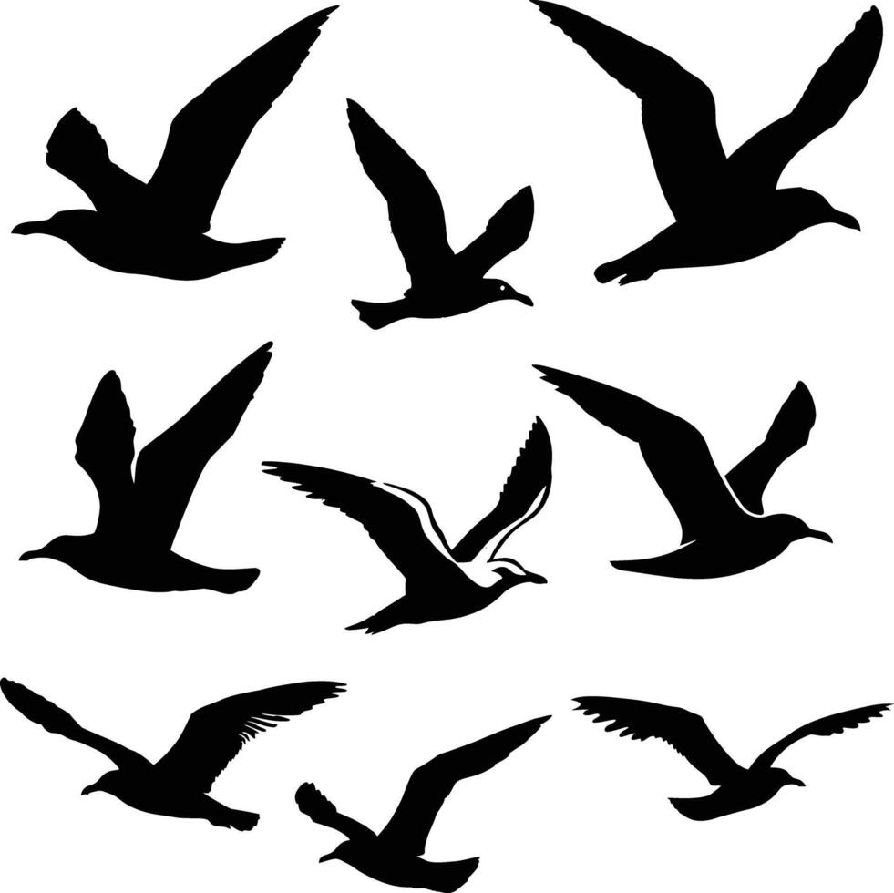 flying bird silhouette , graceful wings, minimalist design vector