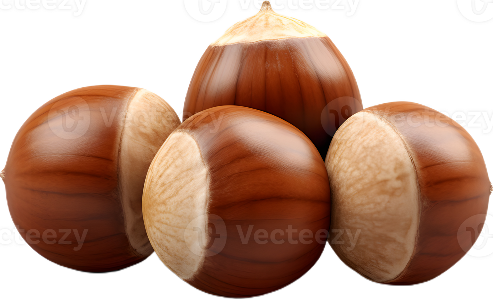 hazelnut on a transparent background png