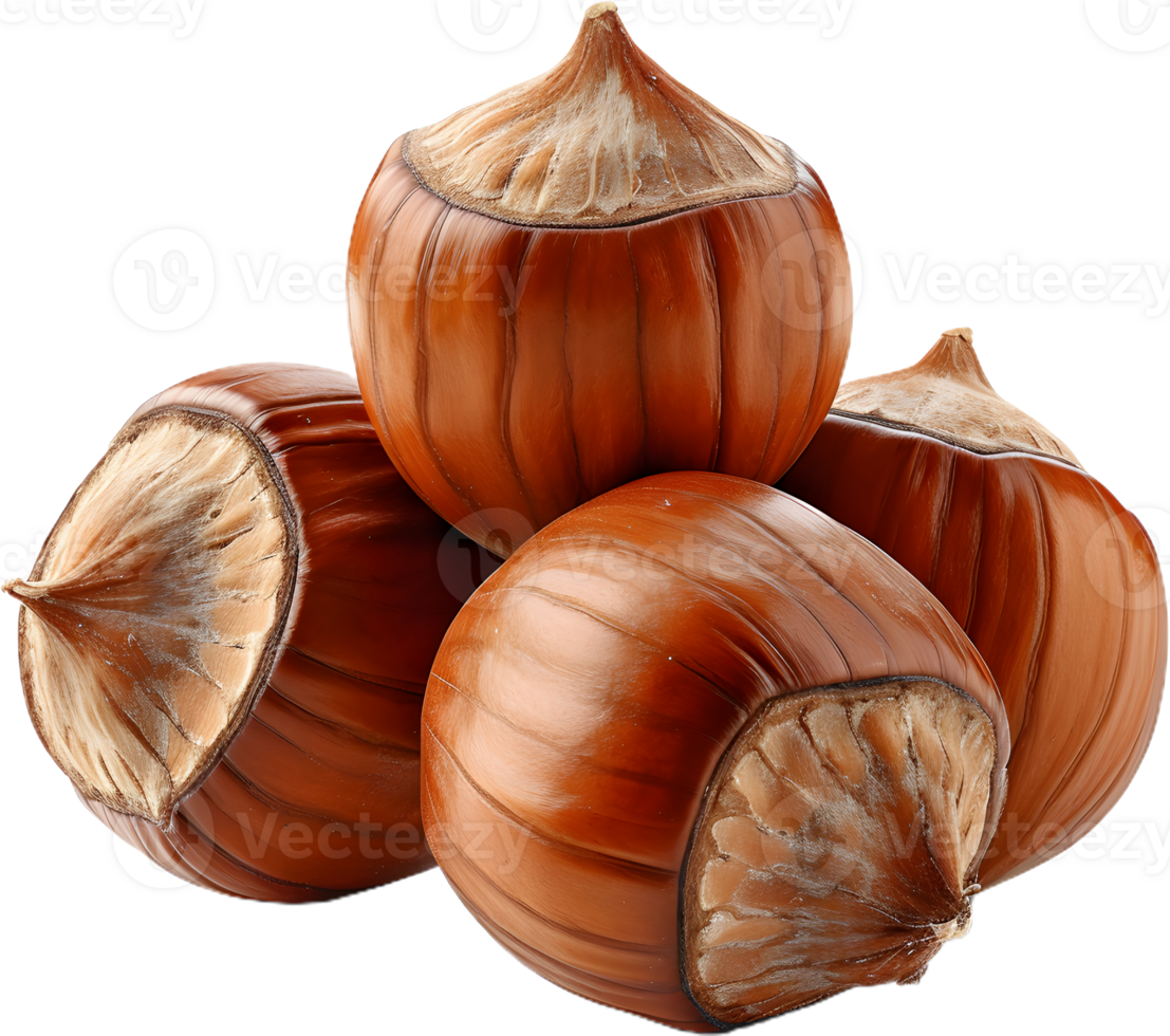 hazelnut on a transparent background png