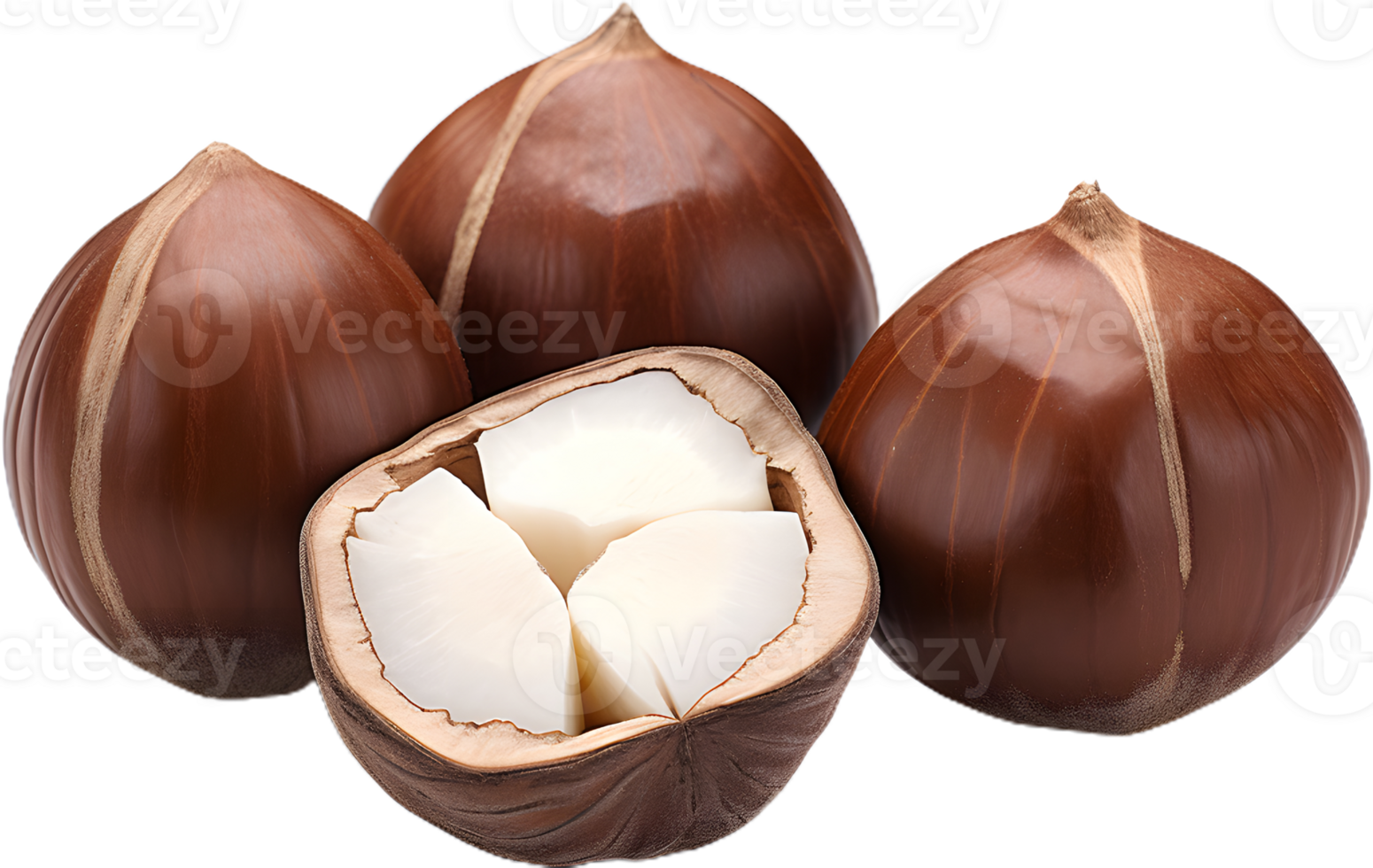 hazelnut on a transparent background png