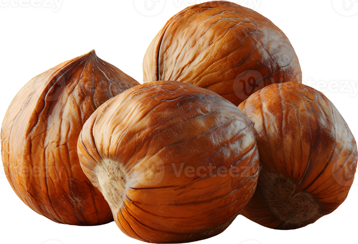 hazelnut on a transparent background png