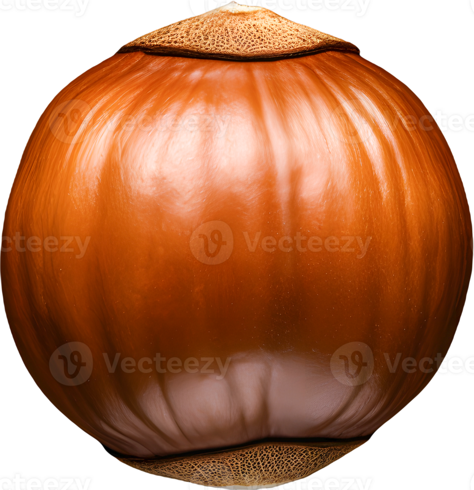 hazelnut on a transparent background png