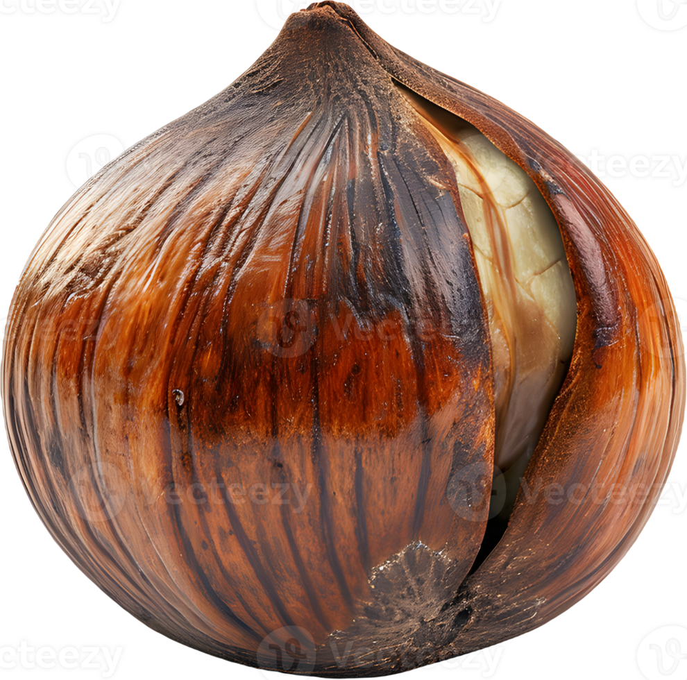 hazelnut on a transparent background png