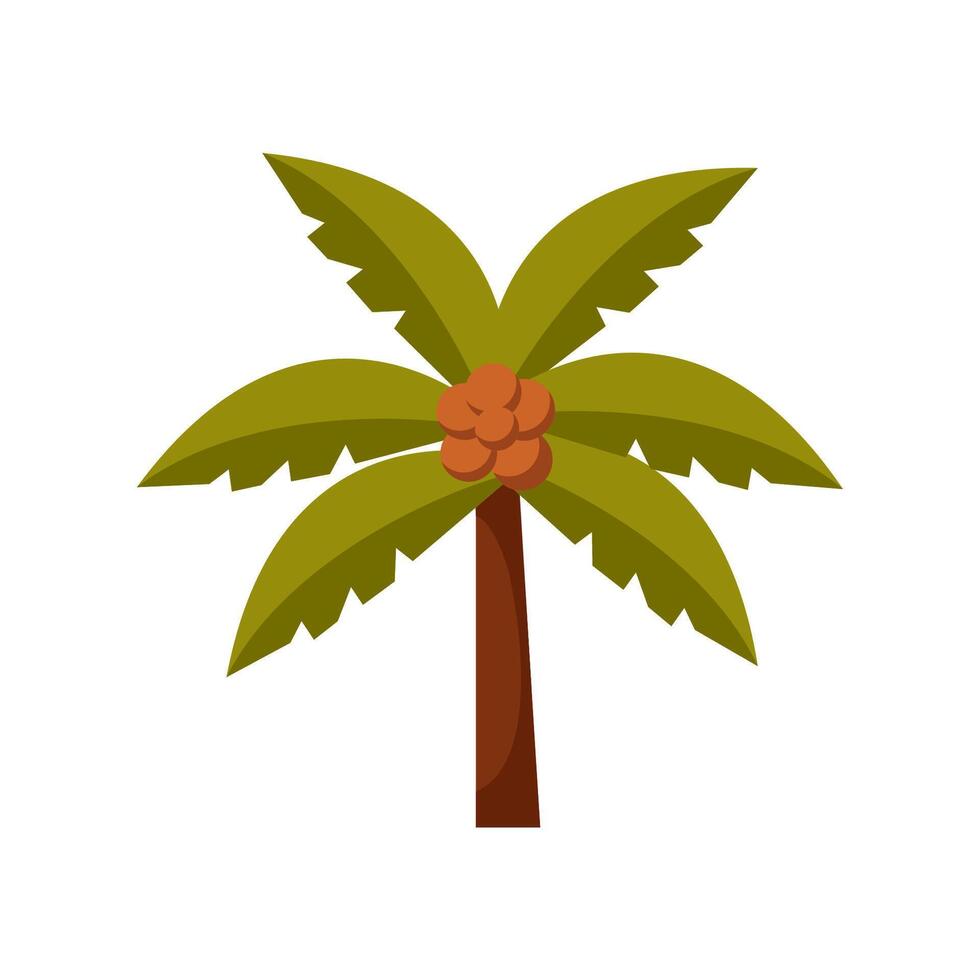 Cartoon coconut tropical palm tree. Clipart hand drawn palm with coconuts on it vector