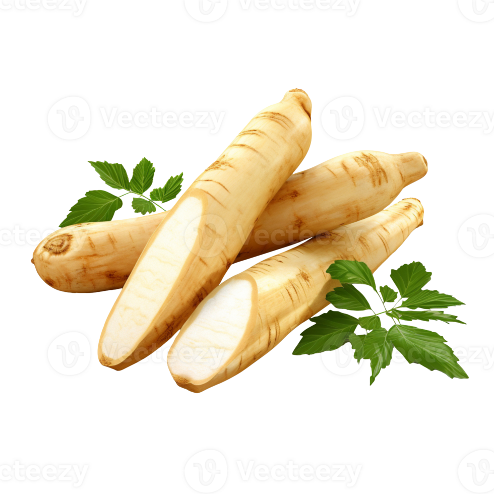 Chinese yam isolated on transparent background png