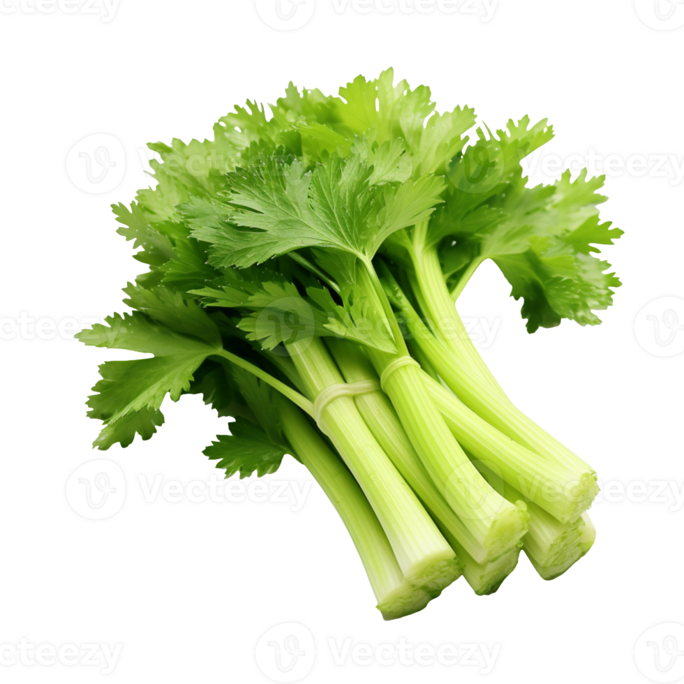Celery isolated on transparent background png