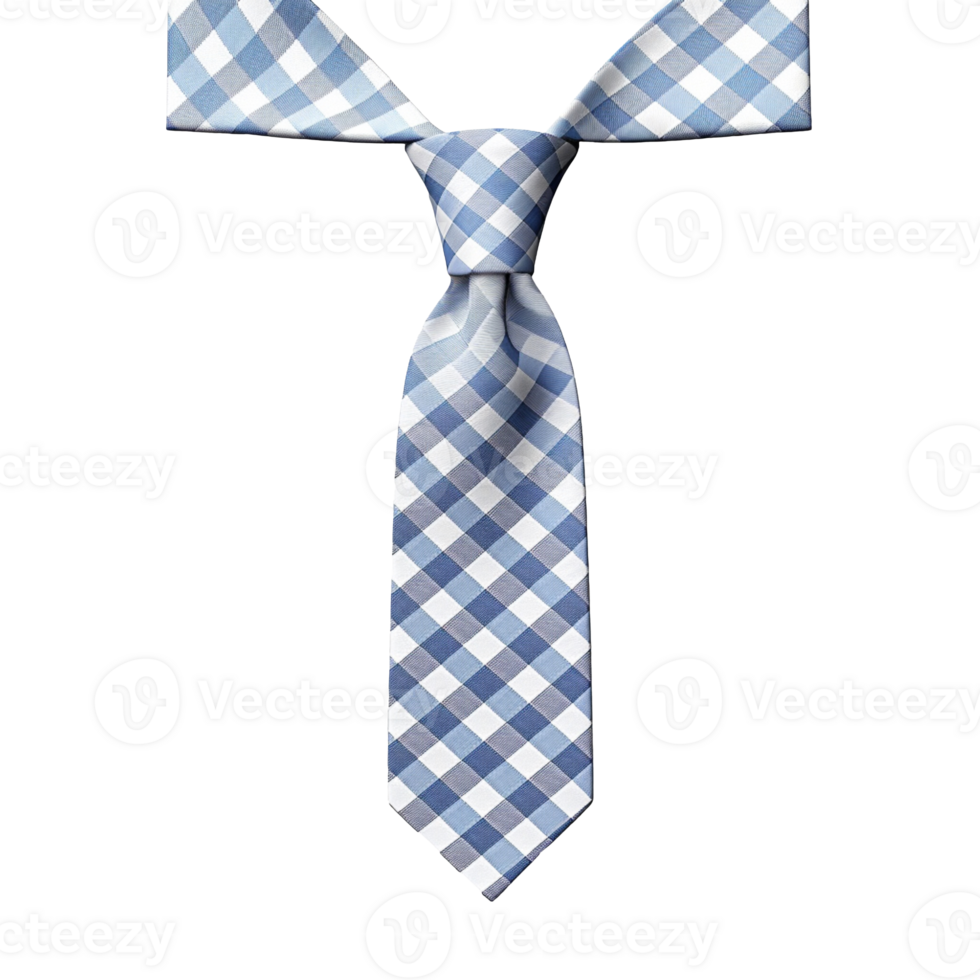 Checkered Necktie isolated on transparent background png