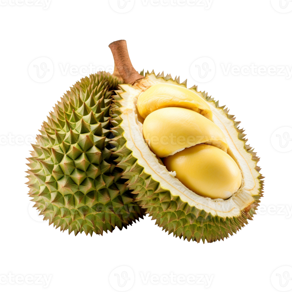 Durian fruit isolated on transparent background png