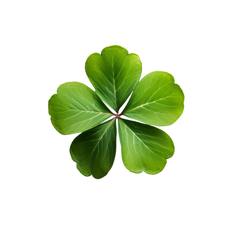 Clover Background PNGs for Free Download