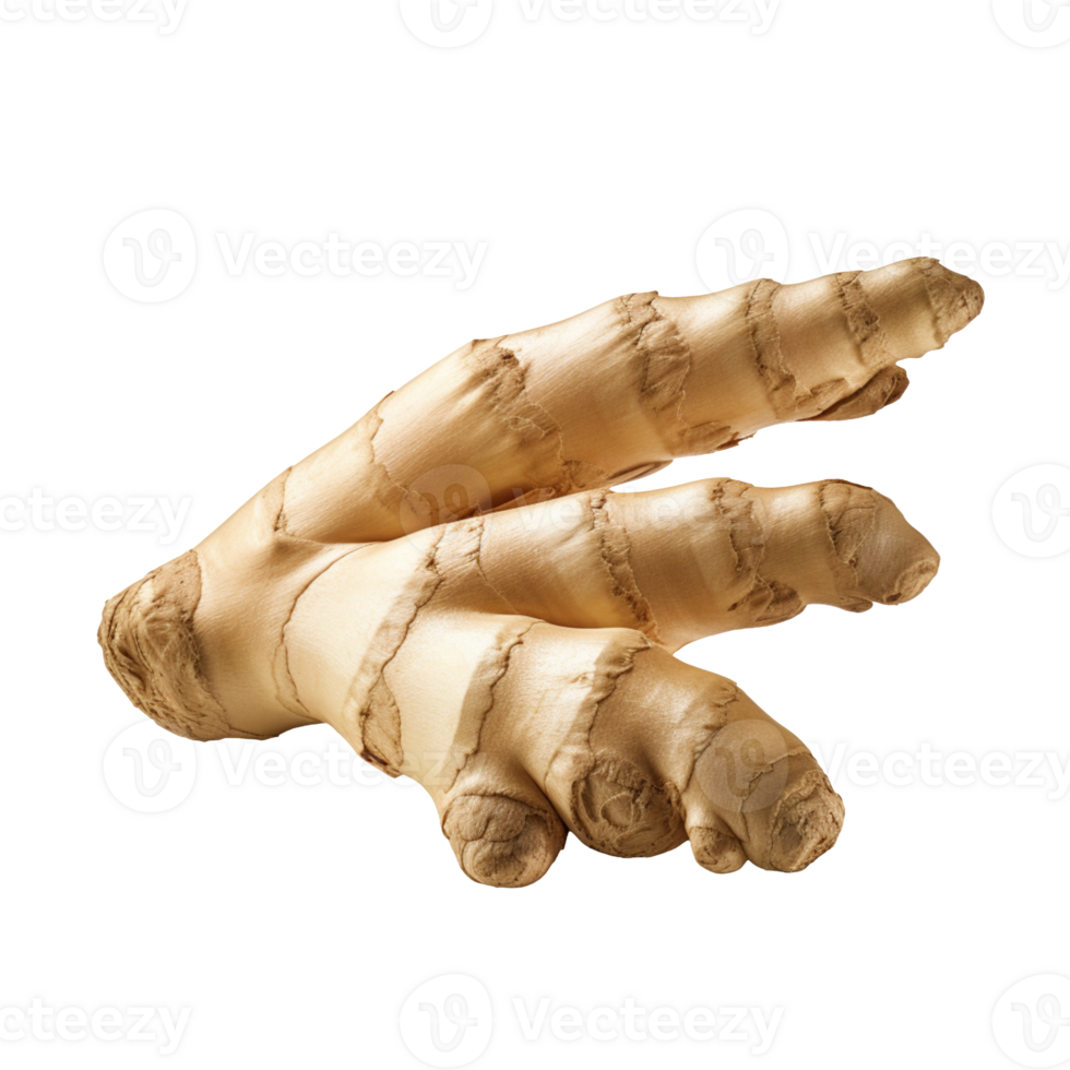 Fresh ginger isolated on transparent background png