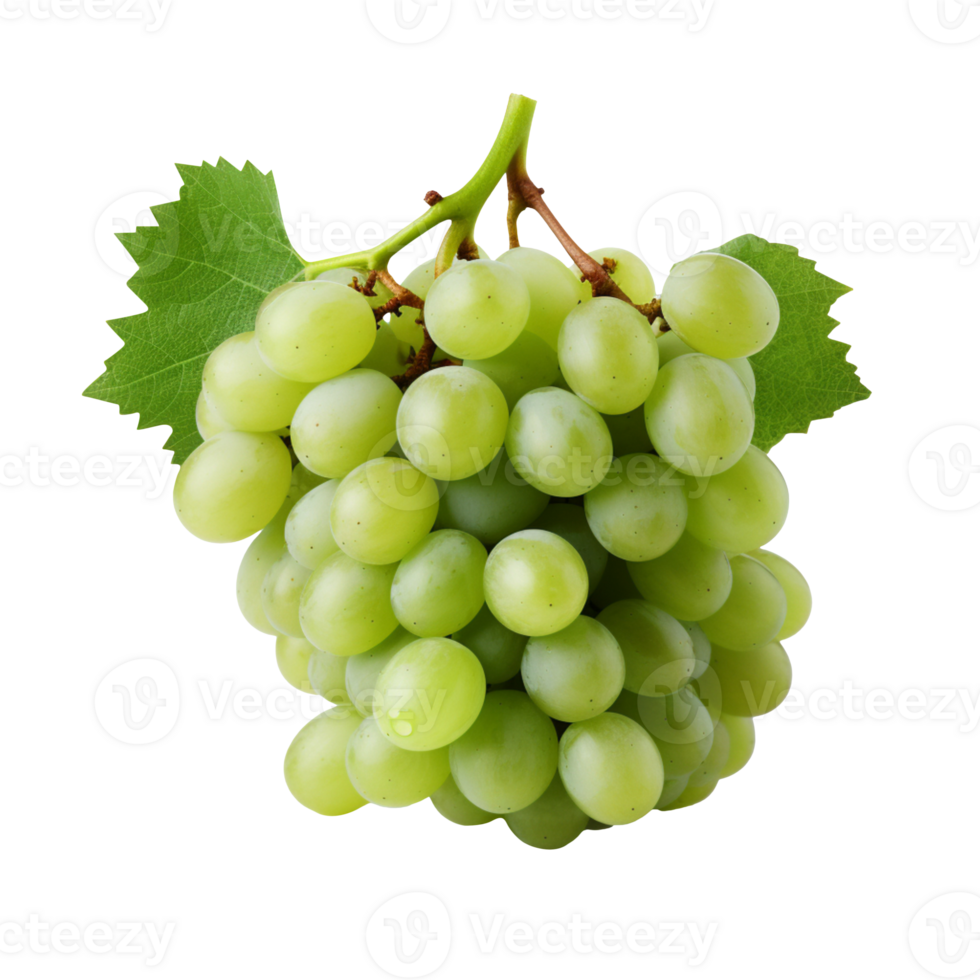 Fresh green grapes isolated on transparent background png