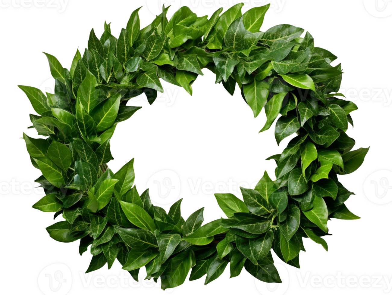Green leaves frame isolated on transparent background png