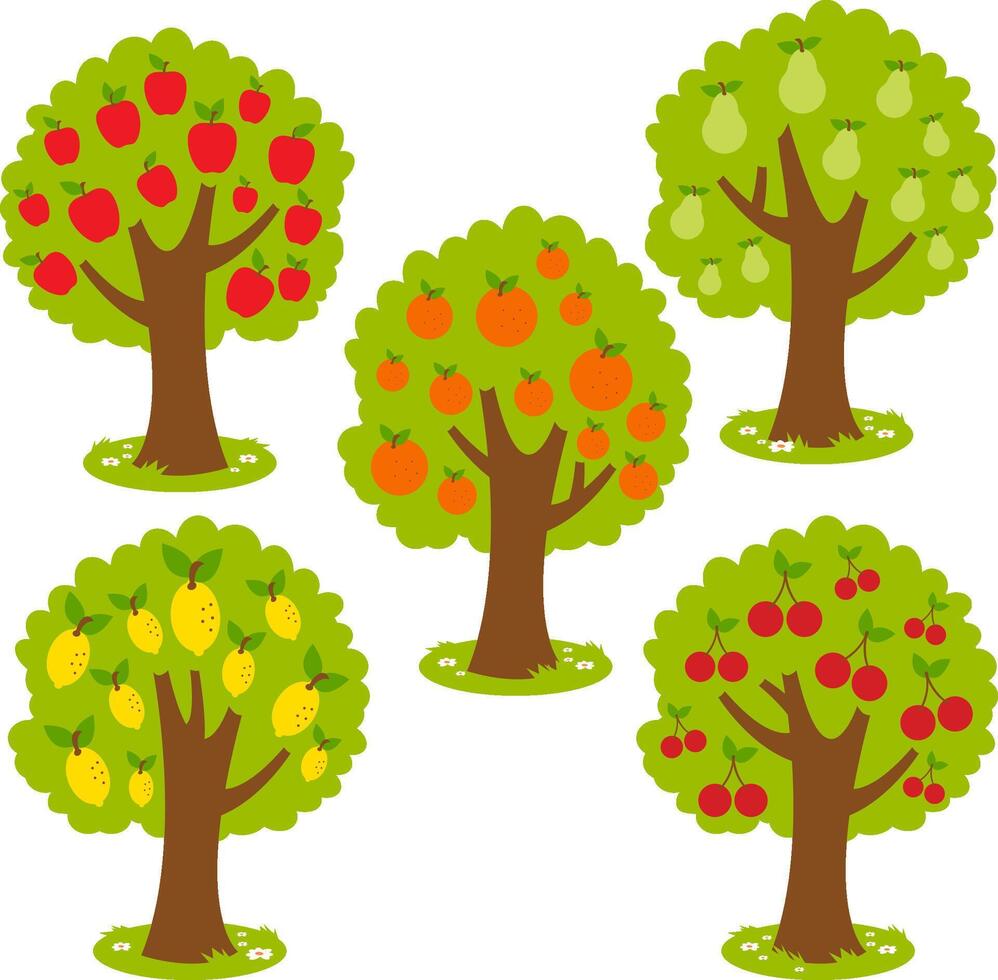 Fruit trees. Set of fruit orchard trees. Apple tree, Pear tree, orange tree, lemon tree and cherry tree in the farm or garden. vector