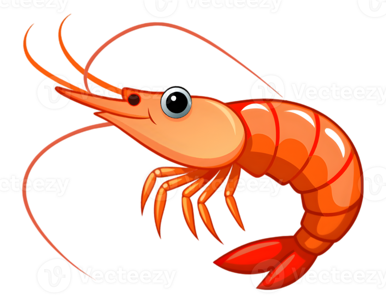 Cartoon Shrimp Isolated on Transparent Background - Detailed and Fun Marine Life Drawing png