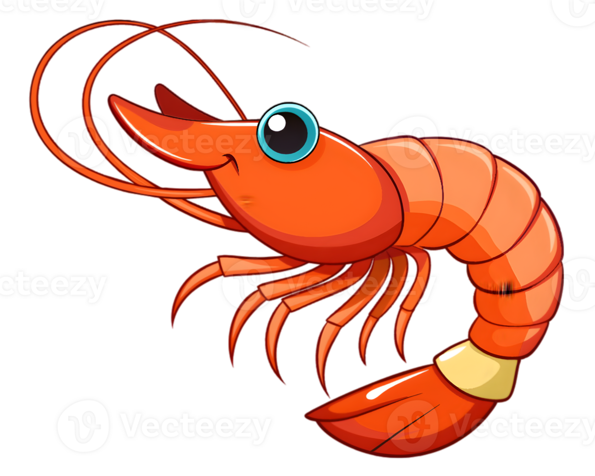 Cartoon Shrimp Isolated on Transparent Background - Detailed and Fun Sea Creature Illustration png