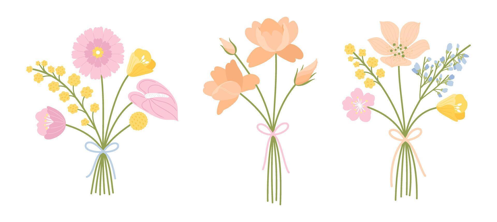 Wildflower bouquets set. Floral bouquets, illustration. Gentle flowers tied with ribbons. Meadow herbs and wild plants for design projects vector