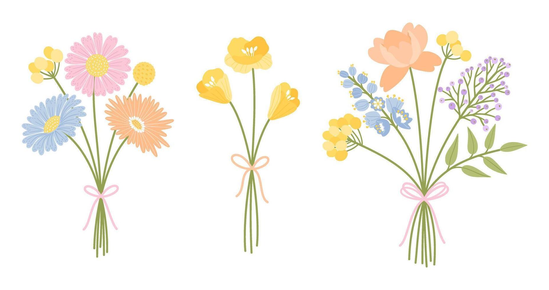 Set of three bunch wildflowers. Floral bouquet. Flowers tied with ribbon, illustration. Meadow herbs, and wild plants for design projects vector