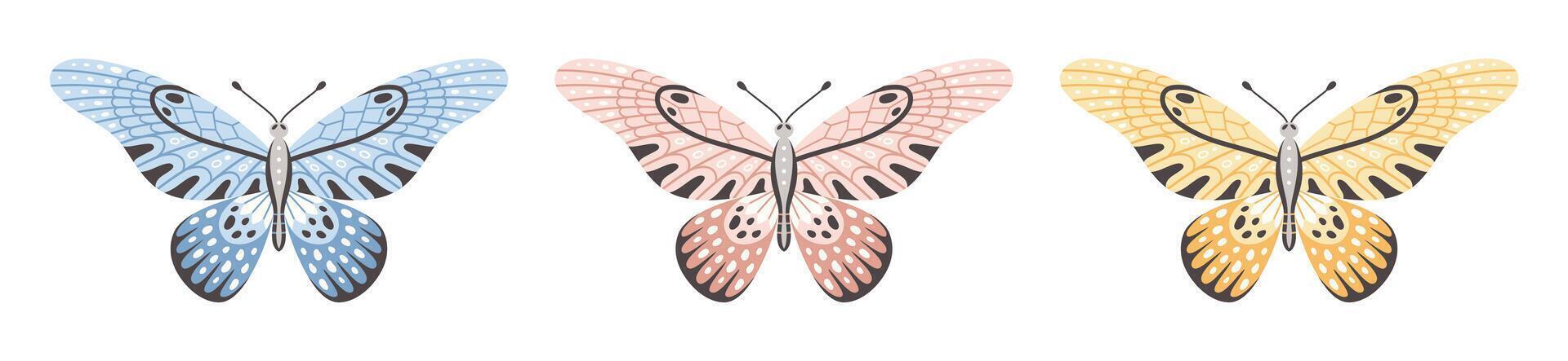 Set of butterflies in three colors, illustration. Beautiful wings with abstract ornament, front view. Element for tattoo design. Summer background vector