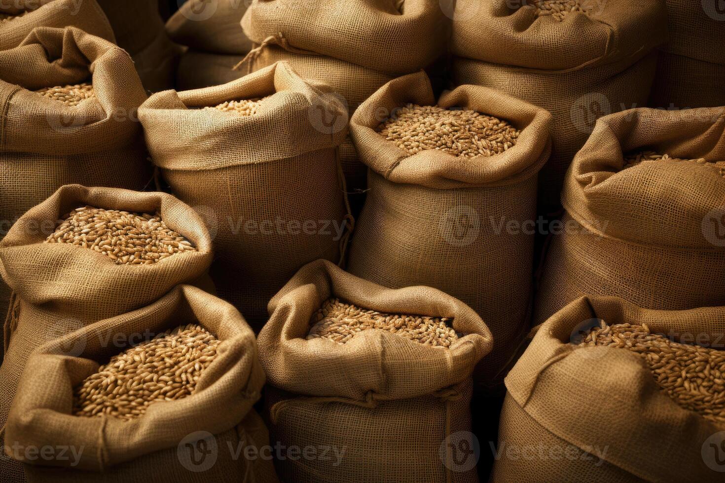 Sacks with Grain photo