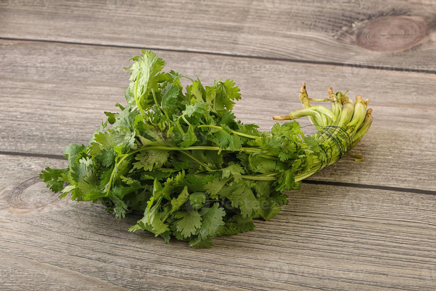 Green coriander leaves herb heap photo