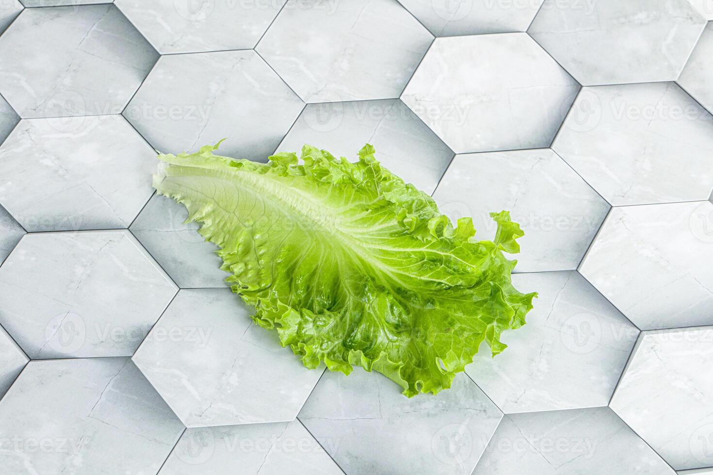 Ripe green salad lettuce leaf photo