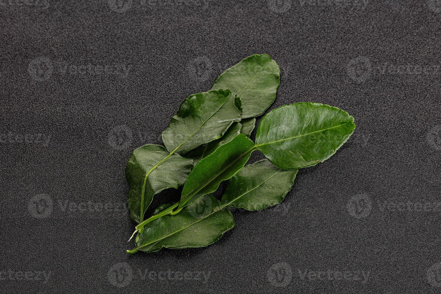 Aroma seasoning kaffir lime leaves photo