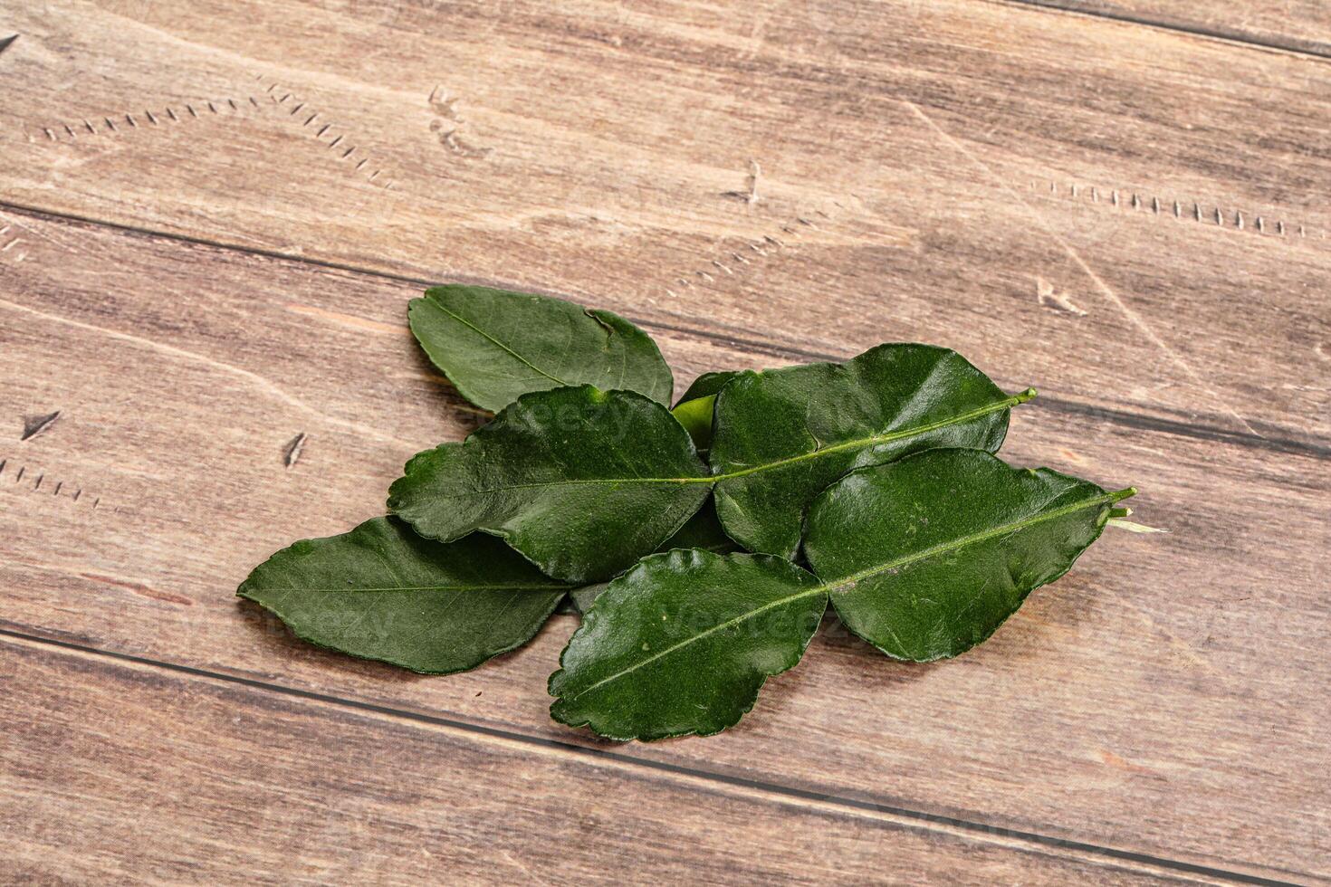 Aroma seasoning kaffir lime leaves photo